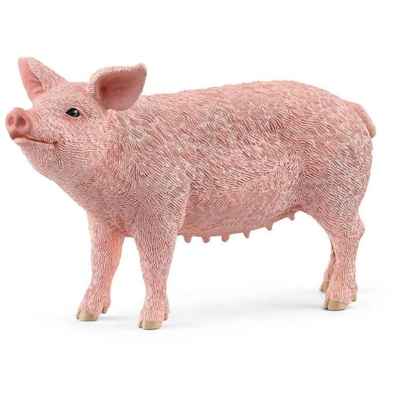 SC Pig 2022 (Red Dot)