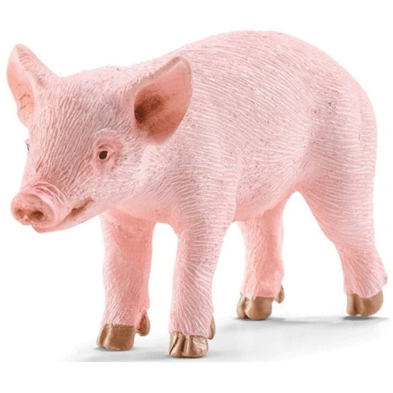 SC Piglet 2022 (Green Dot)