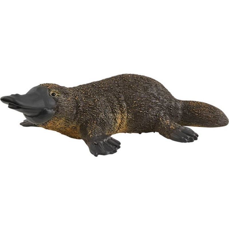 SC Platypus (Red Dot)