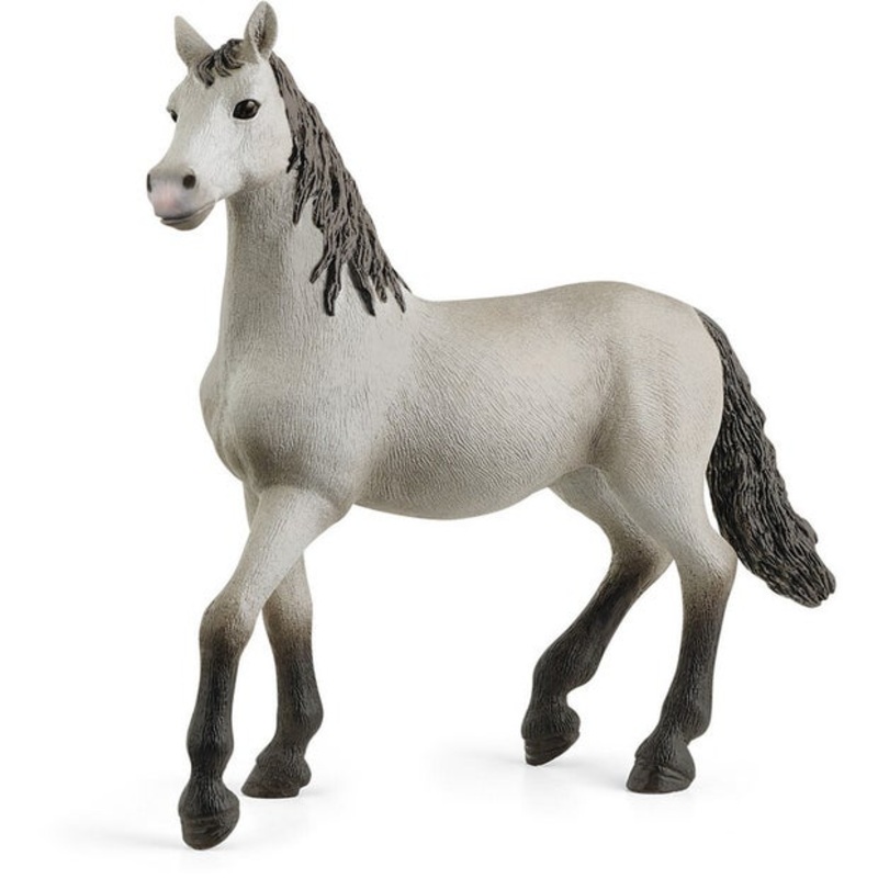 SC Pura Espanola Young Horse (Yellow Dot)