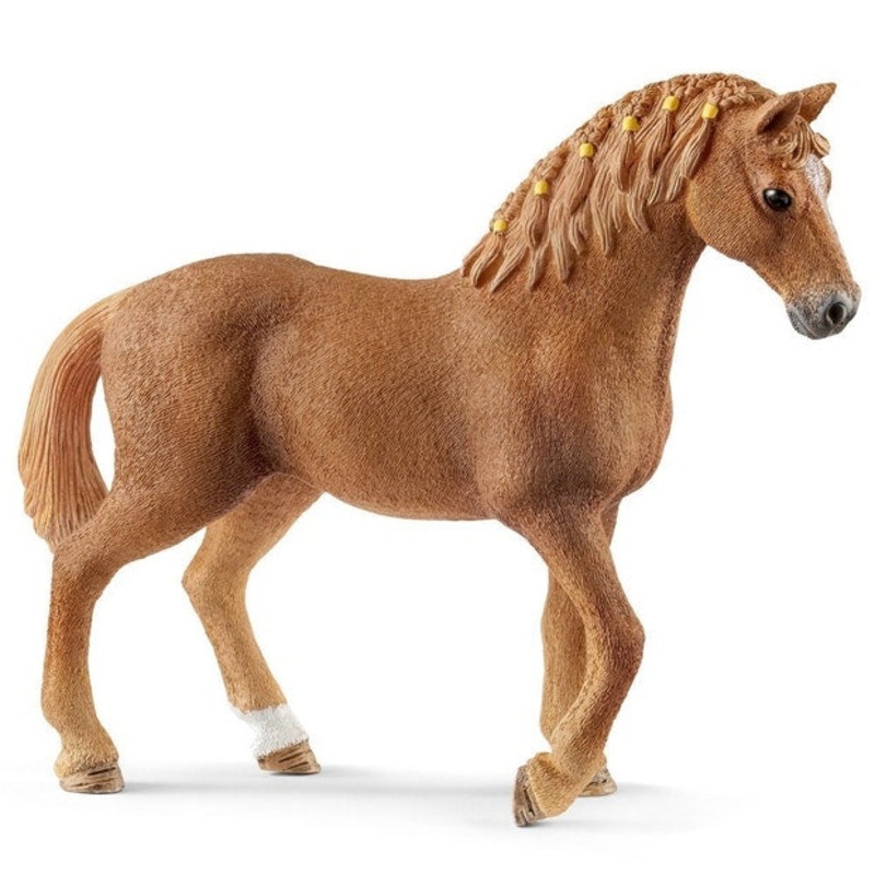 SC Quarter Horse Mare (Grey Dot)