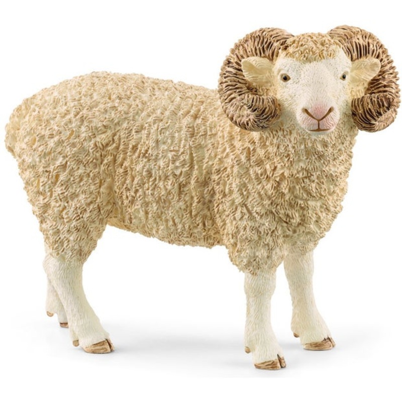 SC Ram (Red Dot)
