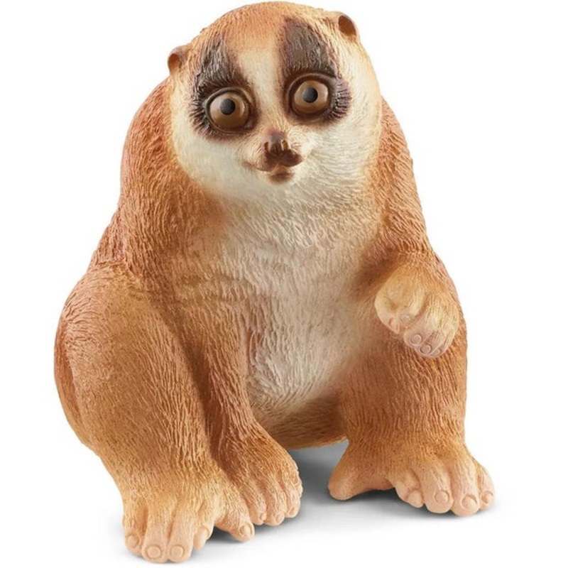 SC Slow Loris (Green Dot)