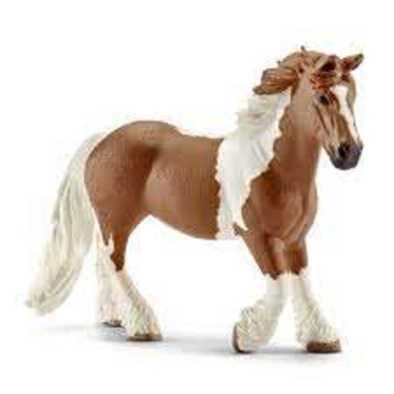 SC Tinker Mare (Grey Dot)