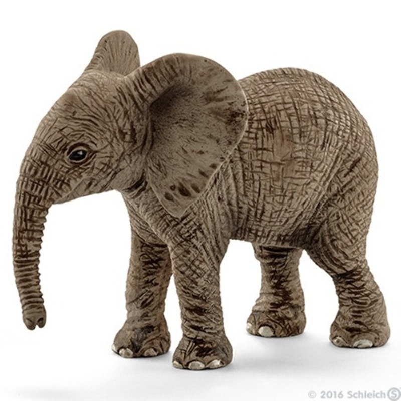 SC African Elephant Calf (Red Dot)