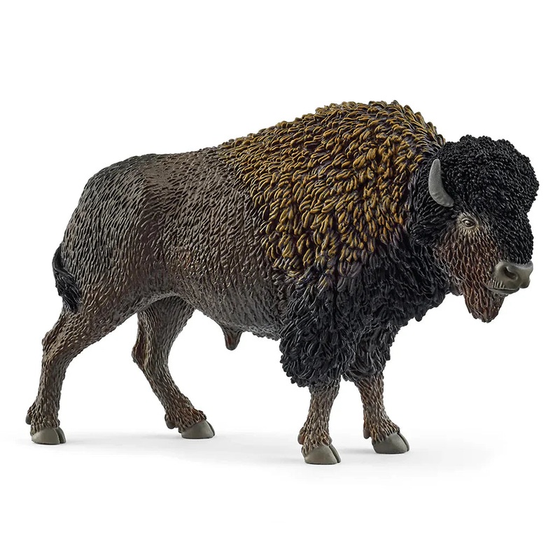 SC Bison (Brown Dot)