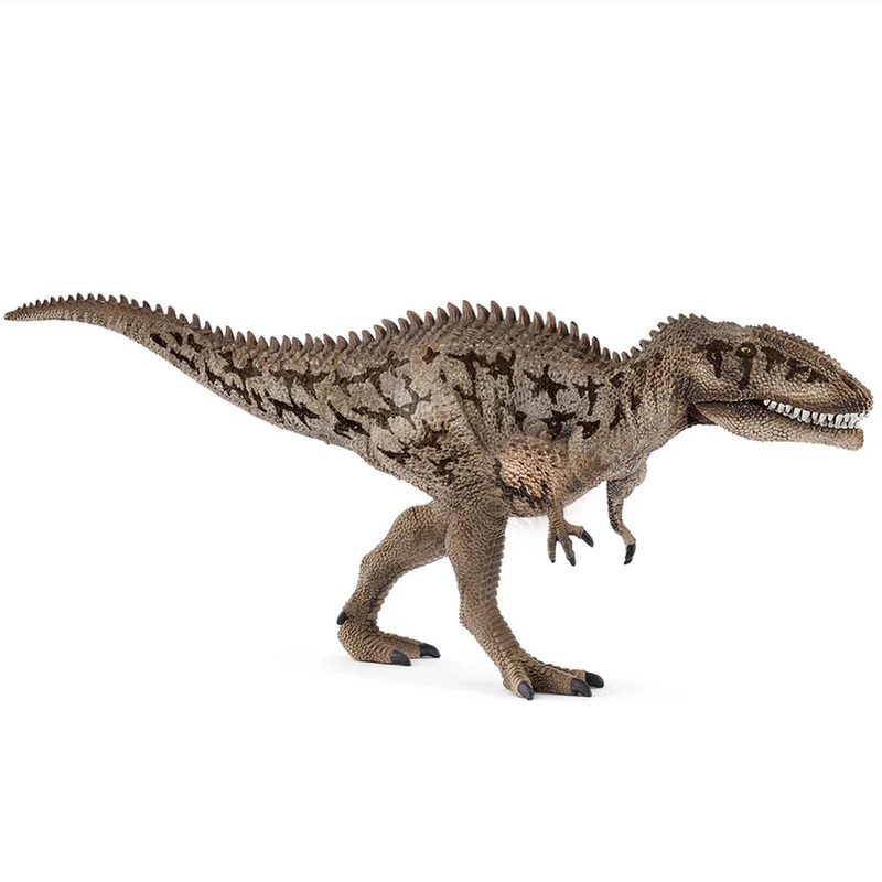 SC Carcharodontosaurus