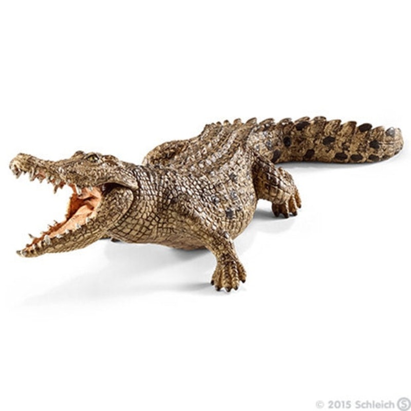 SC Crocodile (Grey Dot)