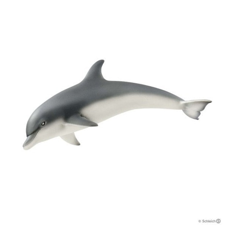SC Dolphin (Red Dot)