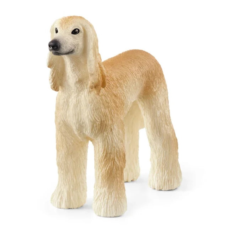 SC Greyhound (Red Dot)