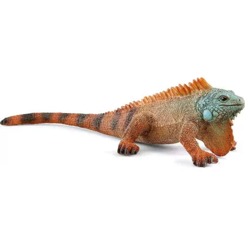 SC Iguana (Yellow Dot)