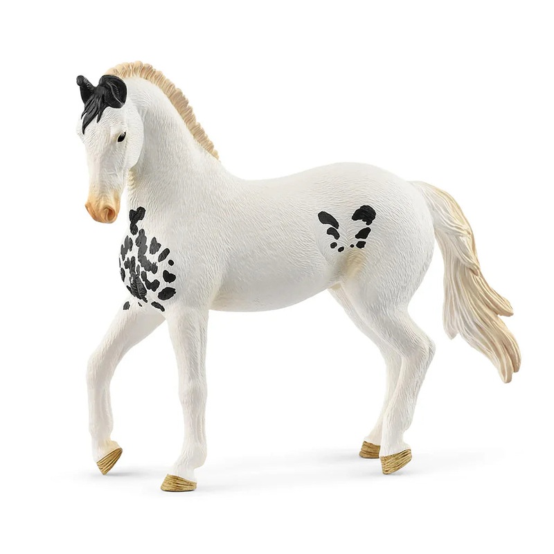 SC Marwari Stallion (Grey Dot)