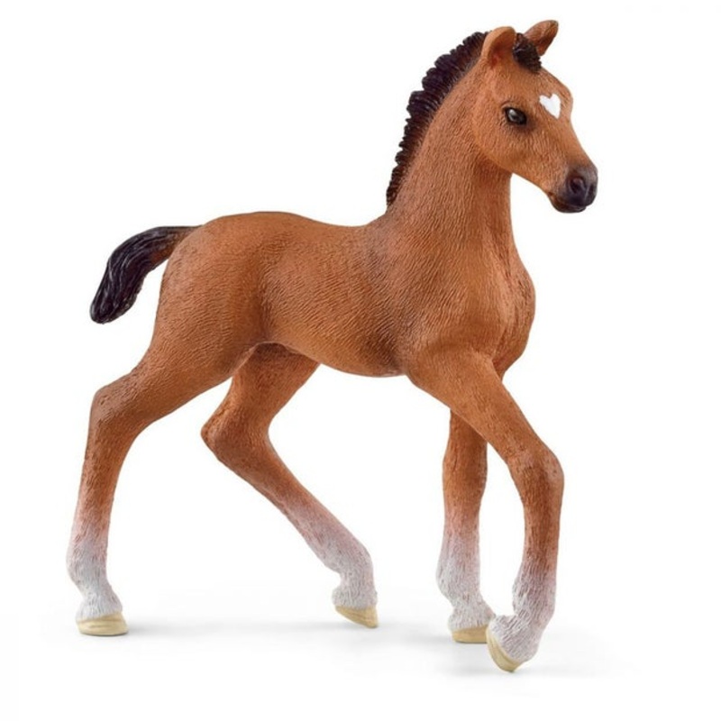 SC Oldenburger Foal (Red Dot)