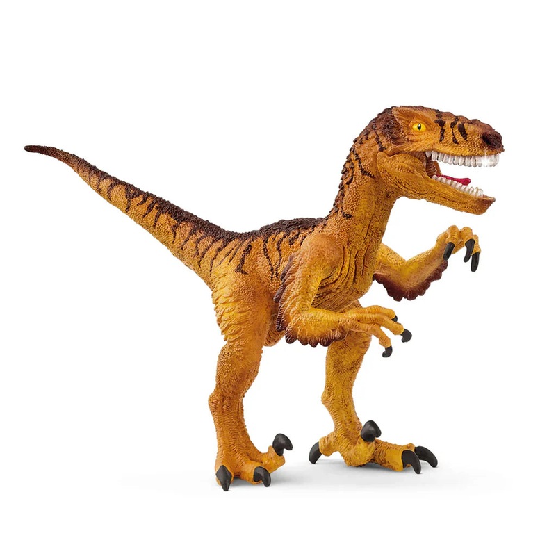 SC Velociraptor 2025