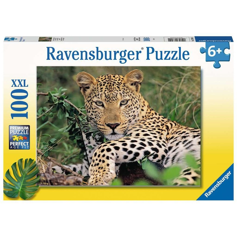 RB Lounging Leopard 100pc