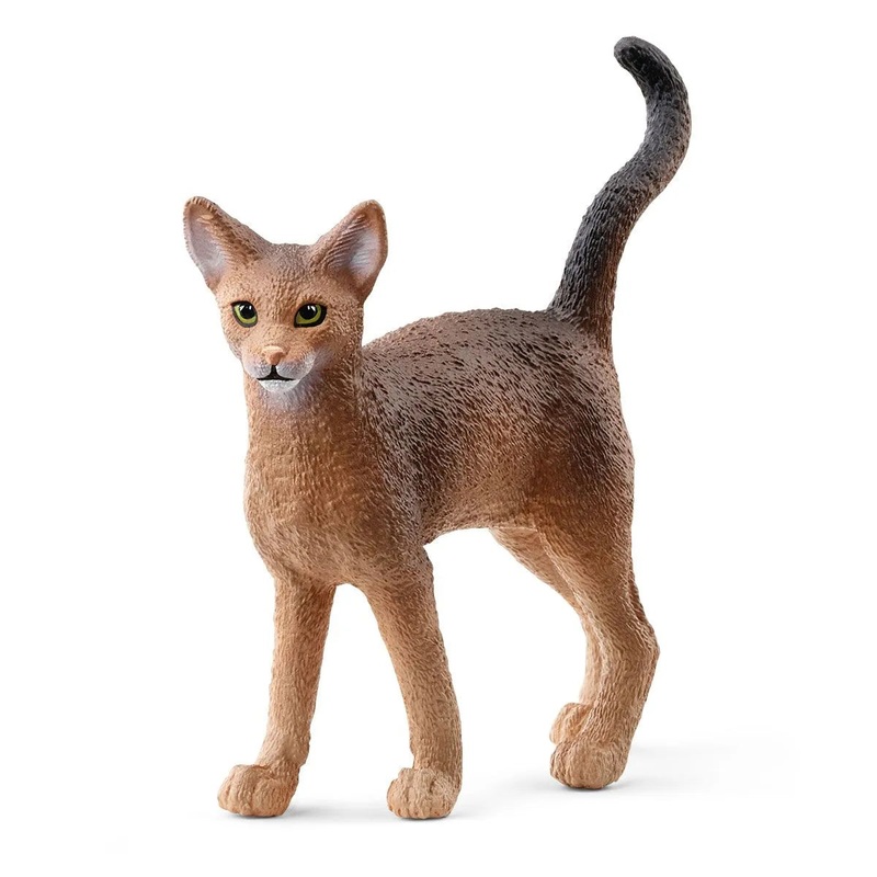 SC Abyssinian Cat (Green Dot)