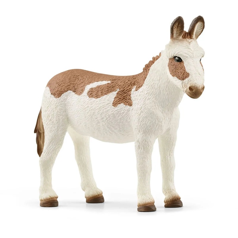 SC American Spotted Donkey (Yellow Dot)