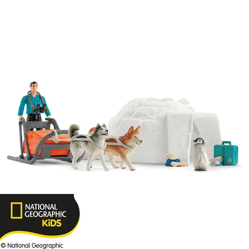 SC Antarctic Expedition