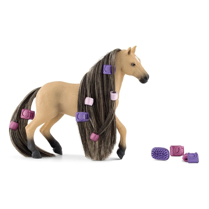 SC Beauty Horse Andalusian Mare