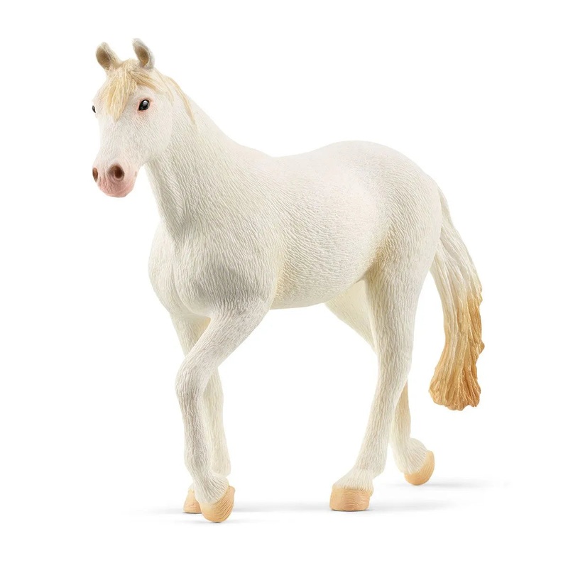 SC Camarillo Mare (Grey Dot)