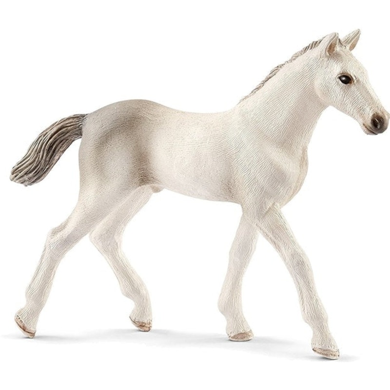 SC Holsteiner Foal (Red Dot)