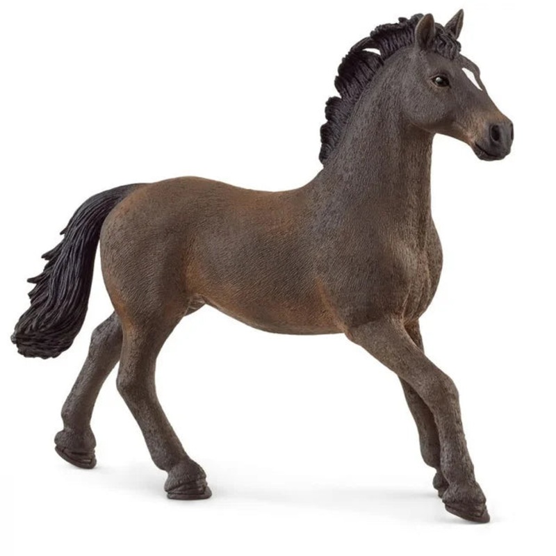 SC Oldenburger Stallion (Grey Dot)