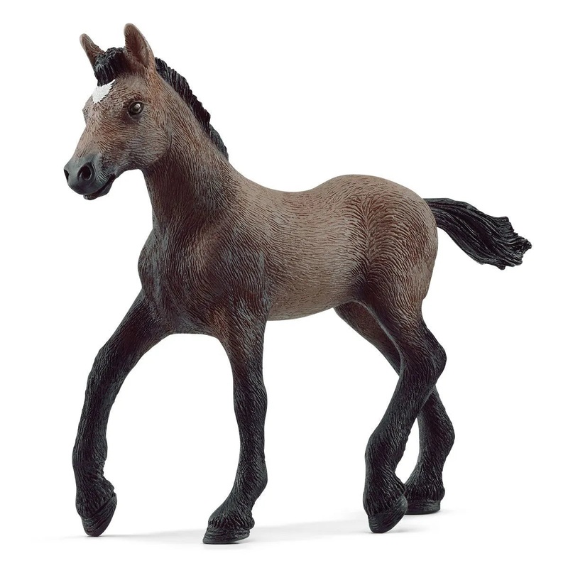SC Peruvian Pasco Foal (Red Dot)