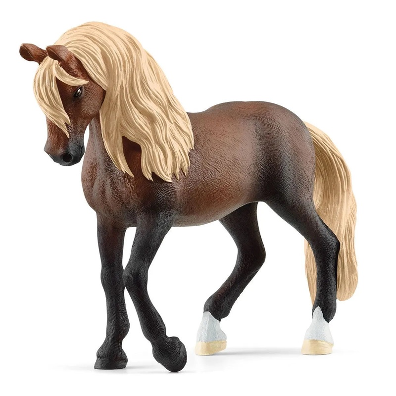 SC Peruvian Paso Stallion (Grey)