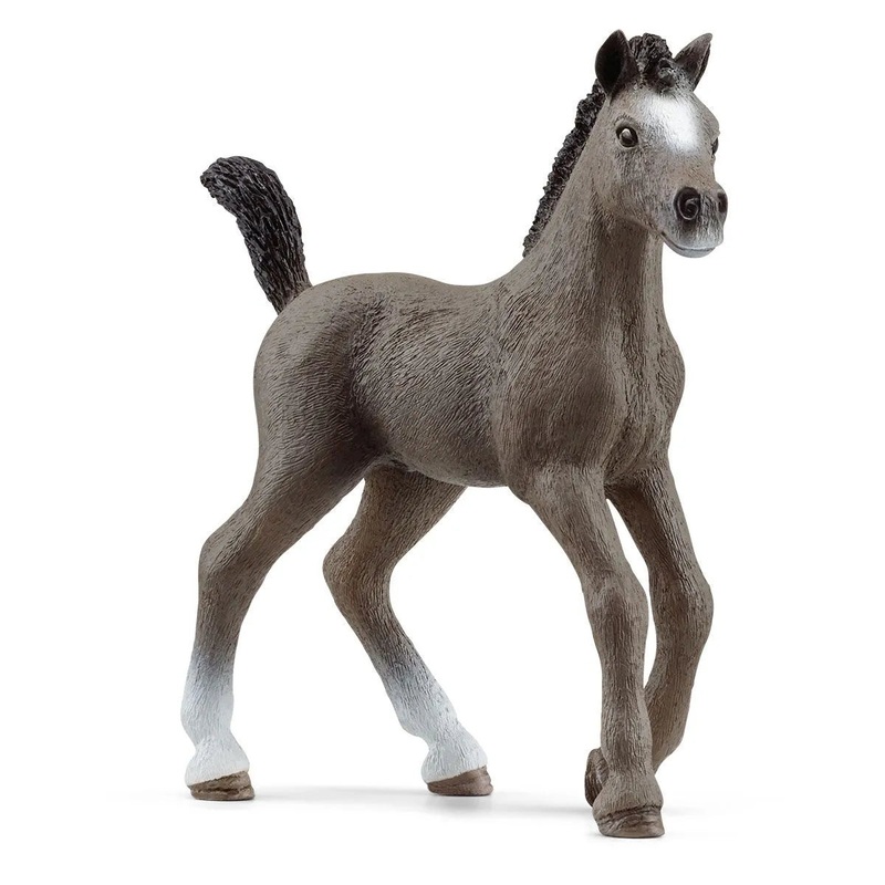 SC Selle Francais Foal (Red Dot)