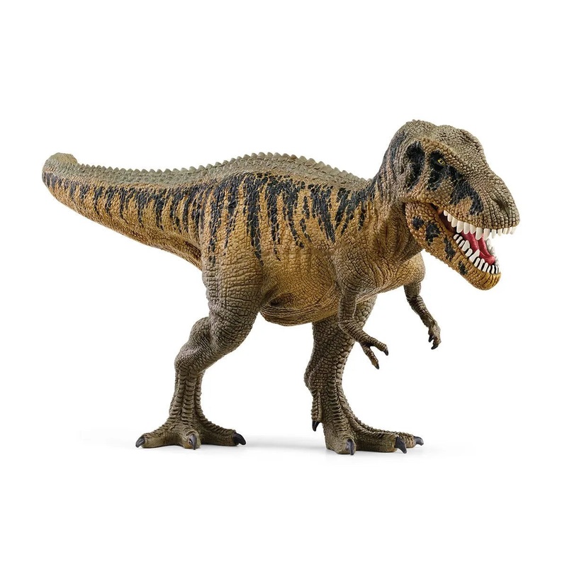 SC Tarbosaurus