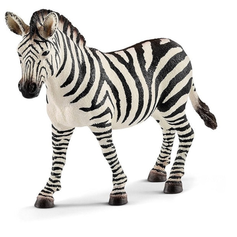 SC Zebra Female (Grey Dot)
