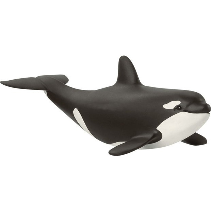 SC Baby Orca (Red Dot)