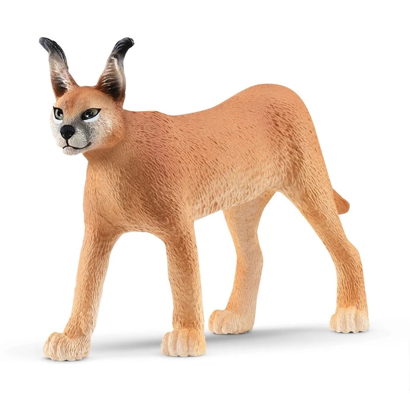 SC Caracal Female (Red Dot)