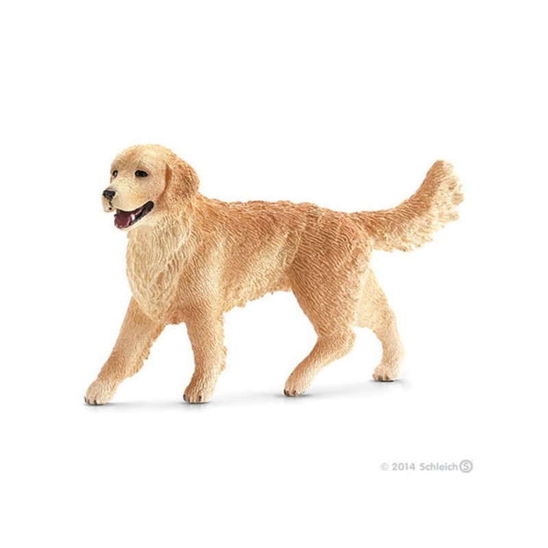 SC Golden Retriever Female (Red Dot)