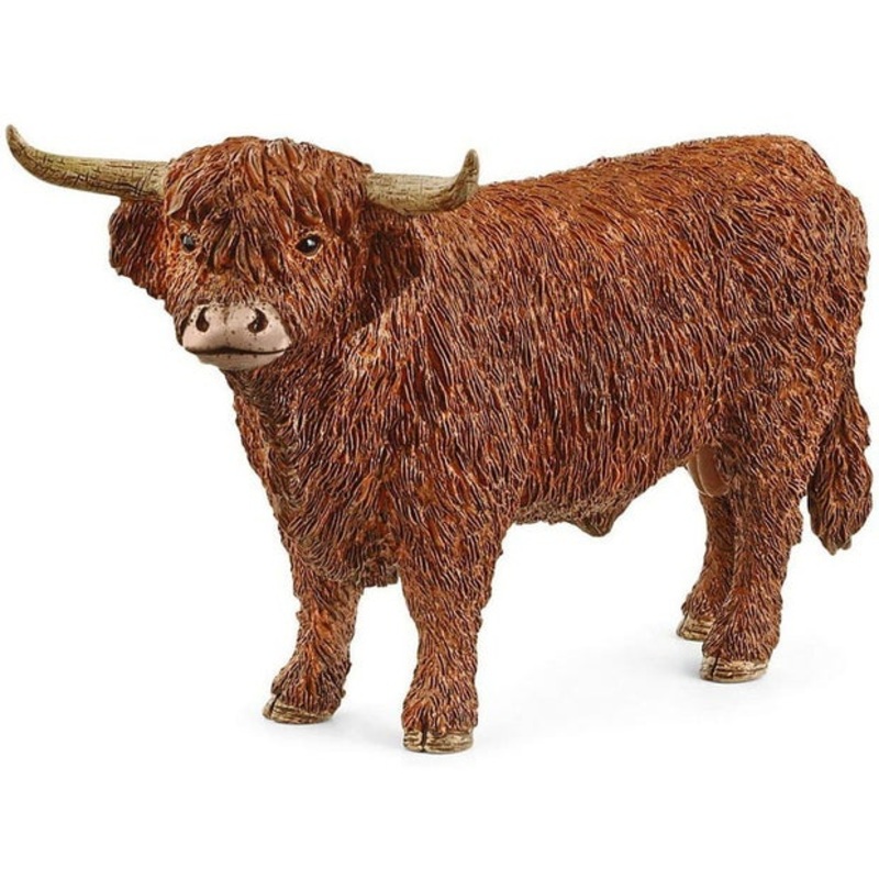 SC Highland Bull (Grey Dot)
