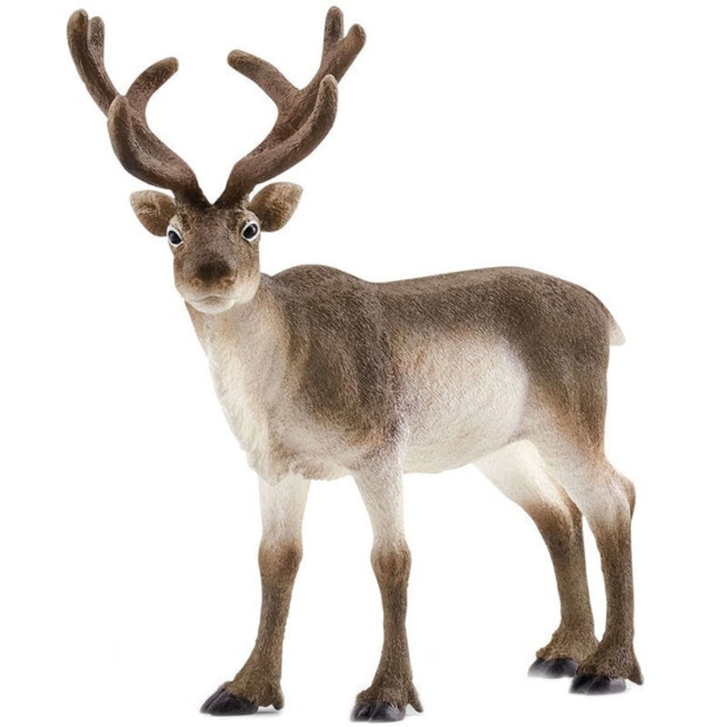 SC Reindeer (Grey Dot)