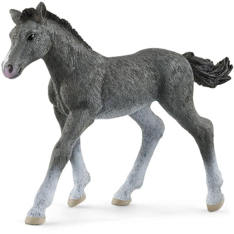 SC Trakehner Foal (Red Dot)