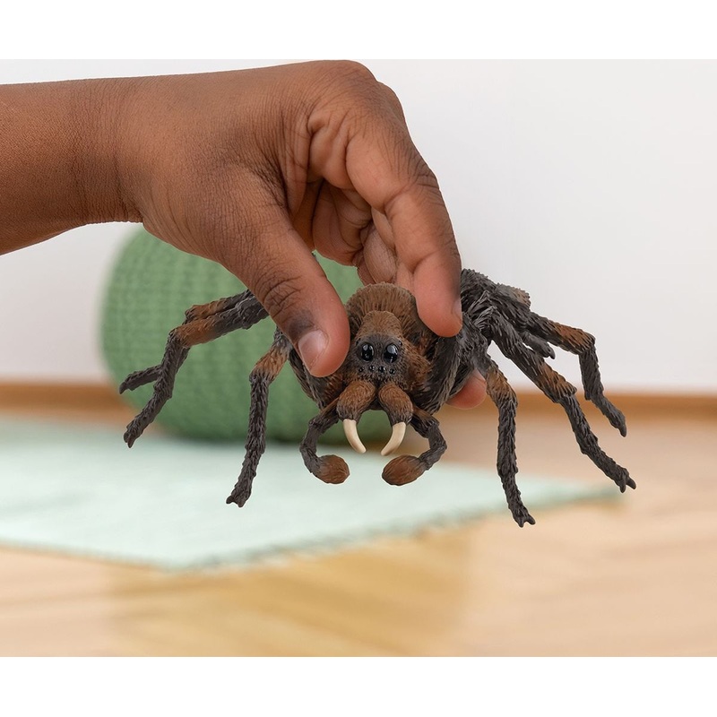 SC Wizarding World Aragog