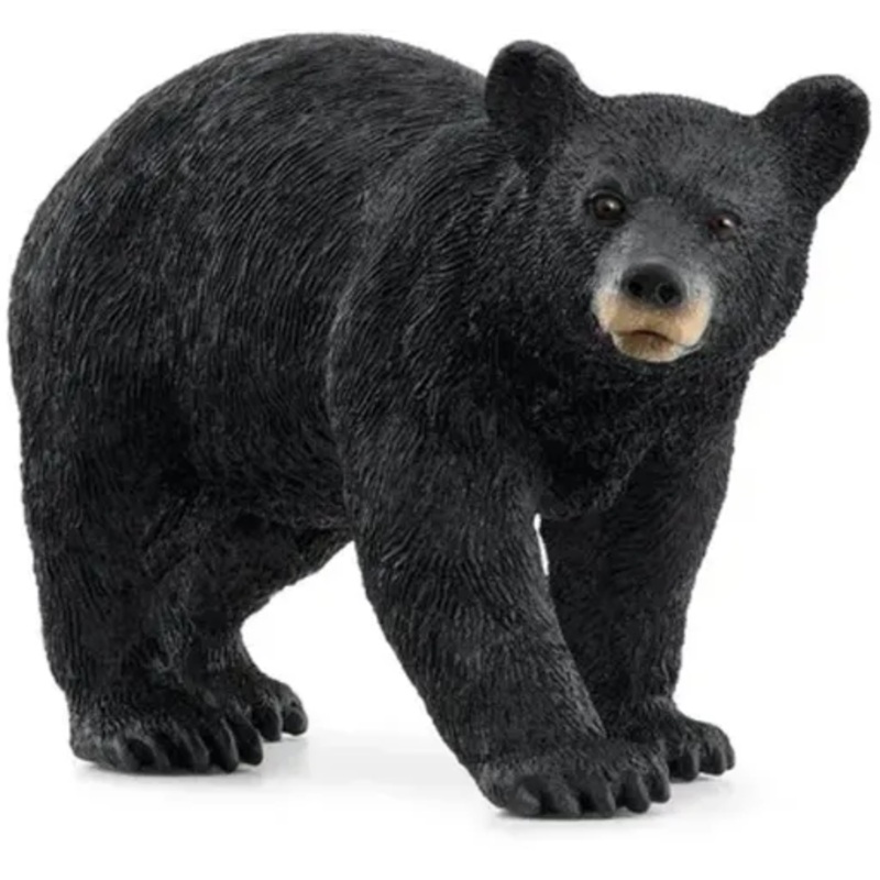 SC American Black Bear (Yellow Dot)