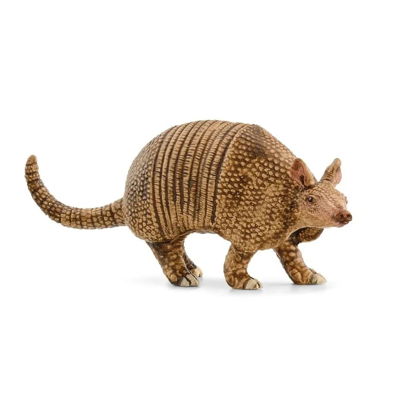 SC Armadillo (Green Dot)