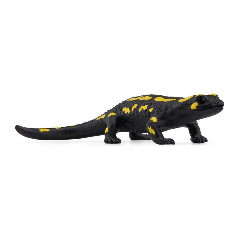 SC Fire Salamander (Red Dot)