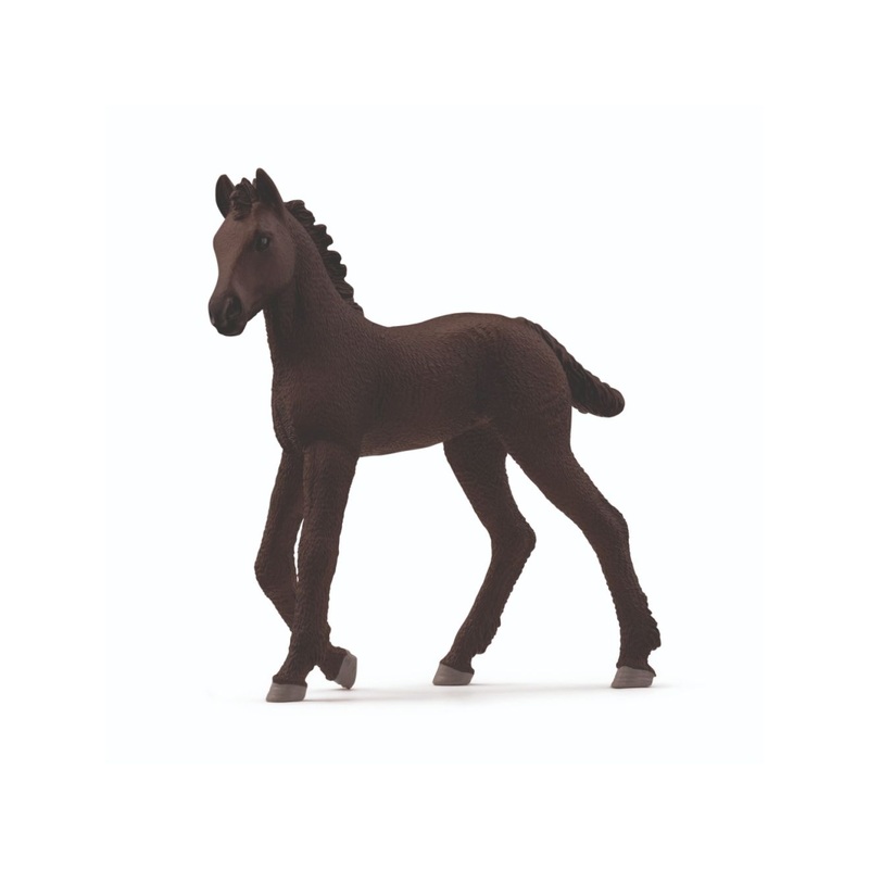 SC Friesian Foal (Red Dot)