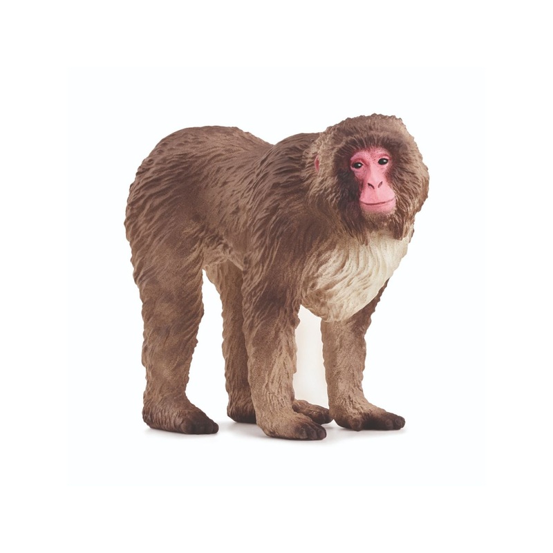 SC Japanese Macaque (Yellow Dot)