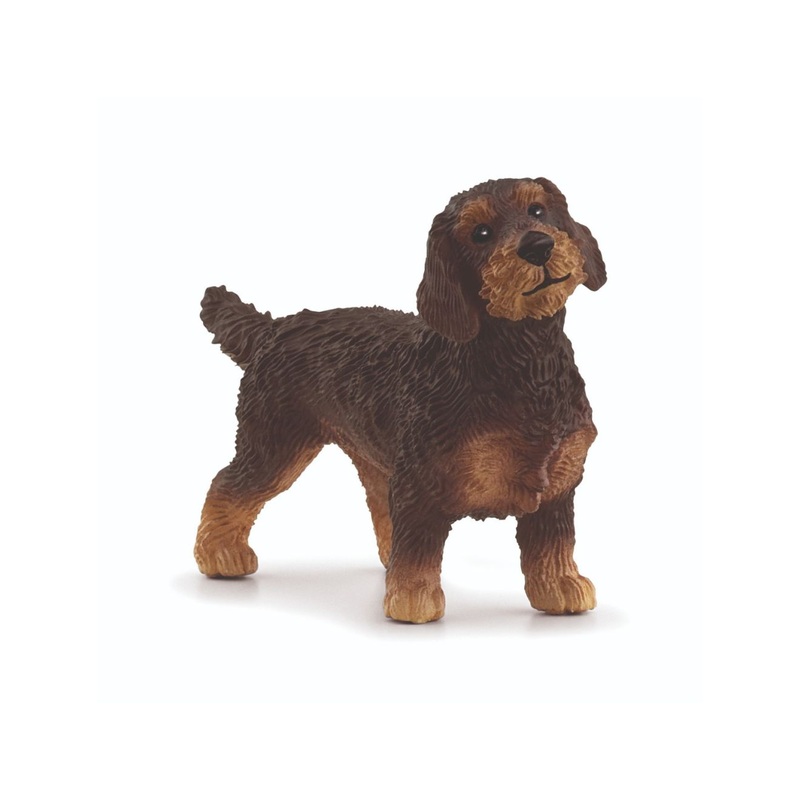 SC Wire-Haired Dachshund (Red Dot)