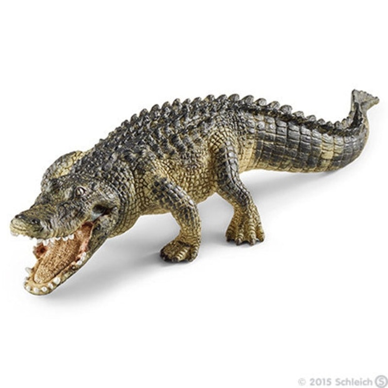 SC Alligator (Grey Dot)