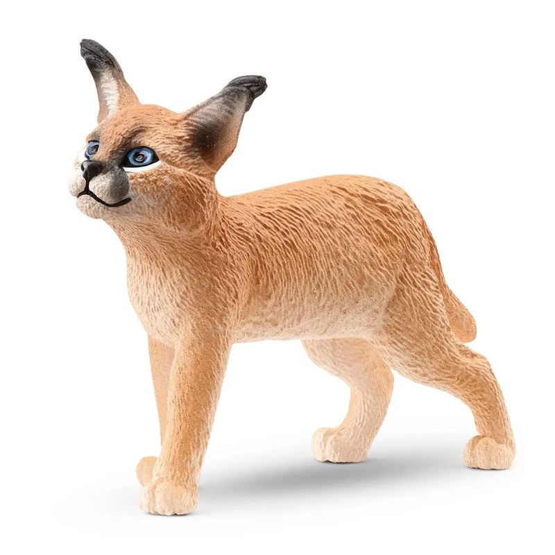 SC Caracal Baby (Green Dot)
