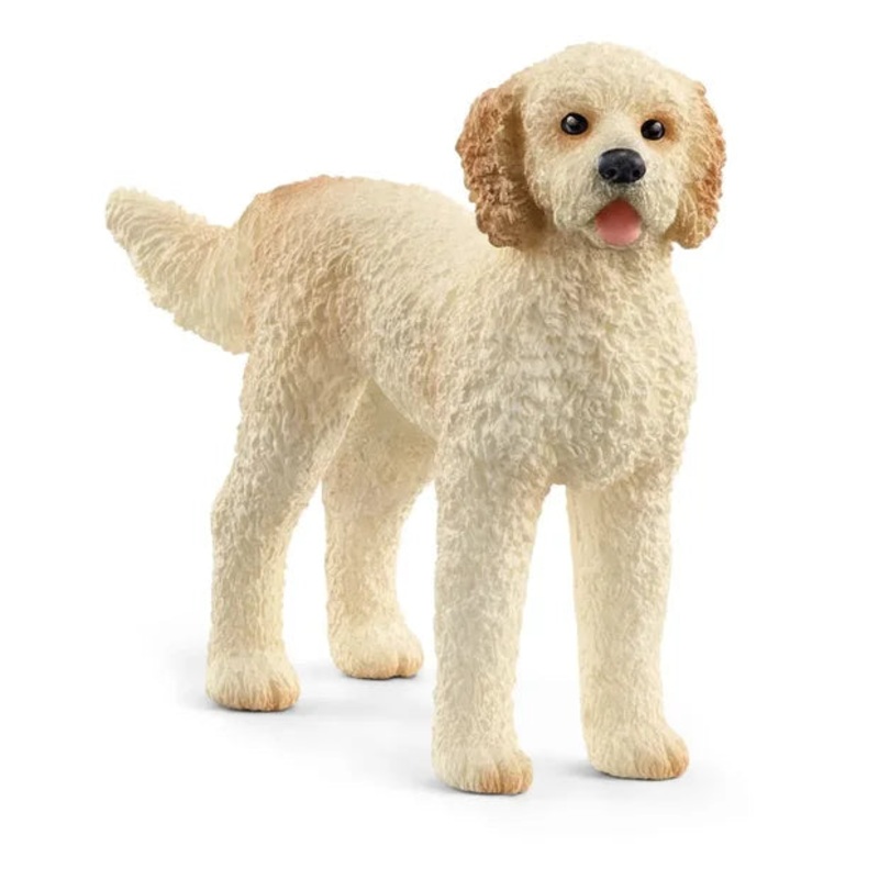SC Goldendoodle (Red Dot)