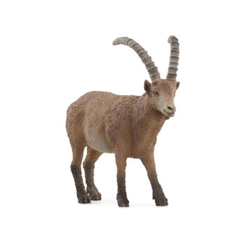 SC Ibex (Yellow Dot)