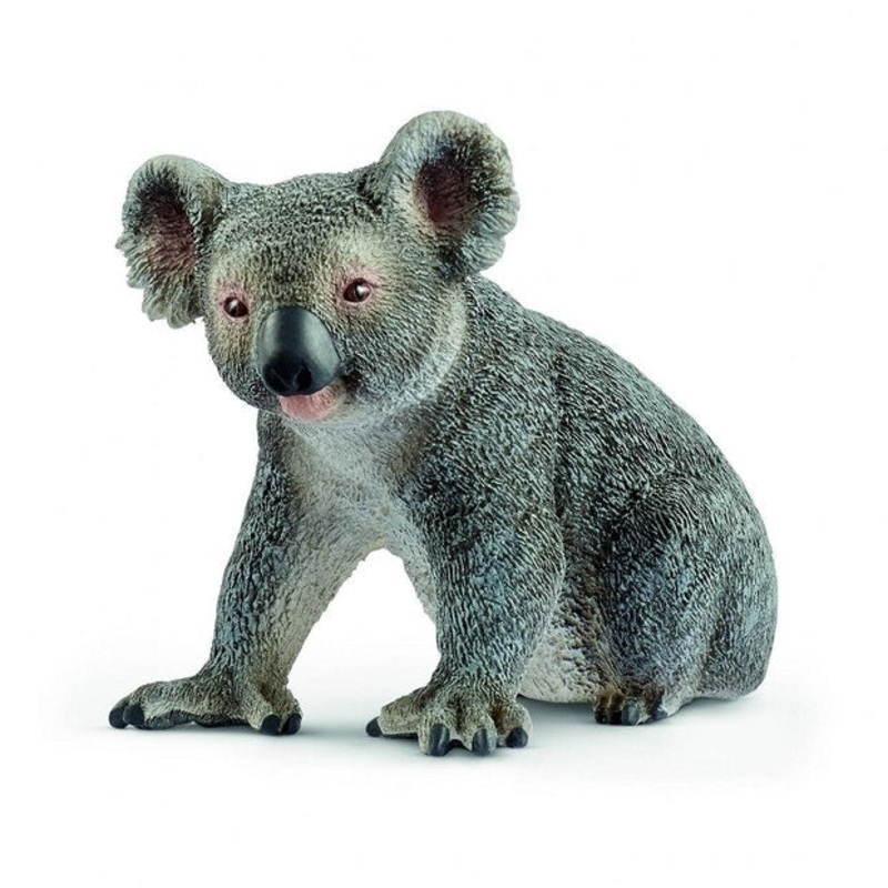 SC Koala Bear (Red Dot)