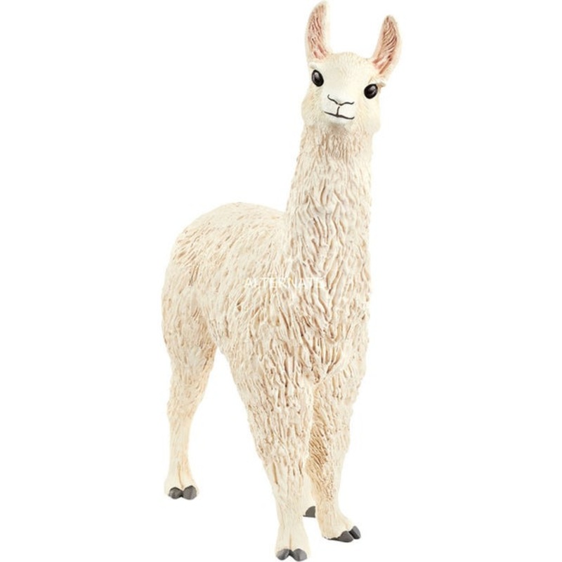 SC Llama (Red Dot)
